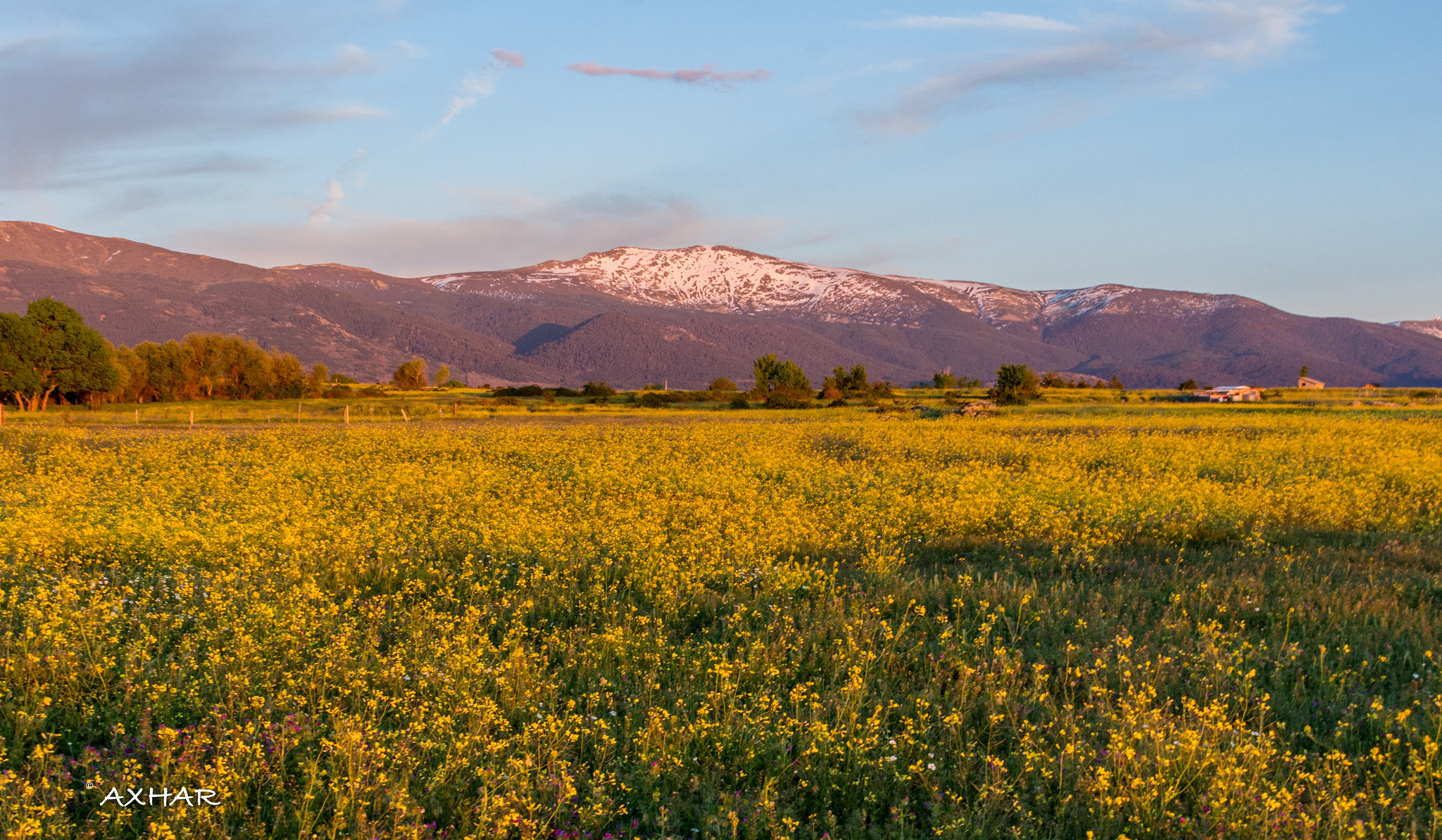 Snow capped mountains